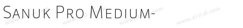 Sanuk Pro Medium字体转换 Sanuk Pro Medium字体转换